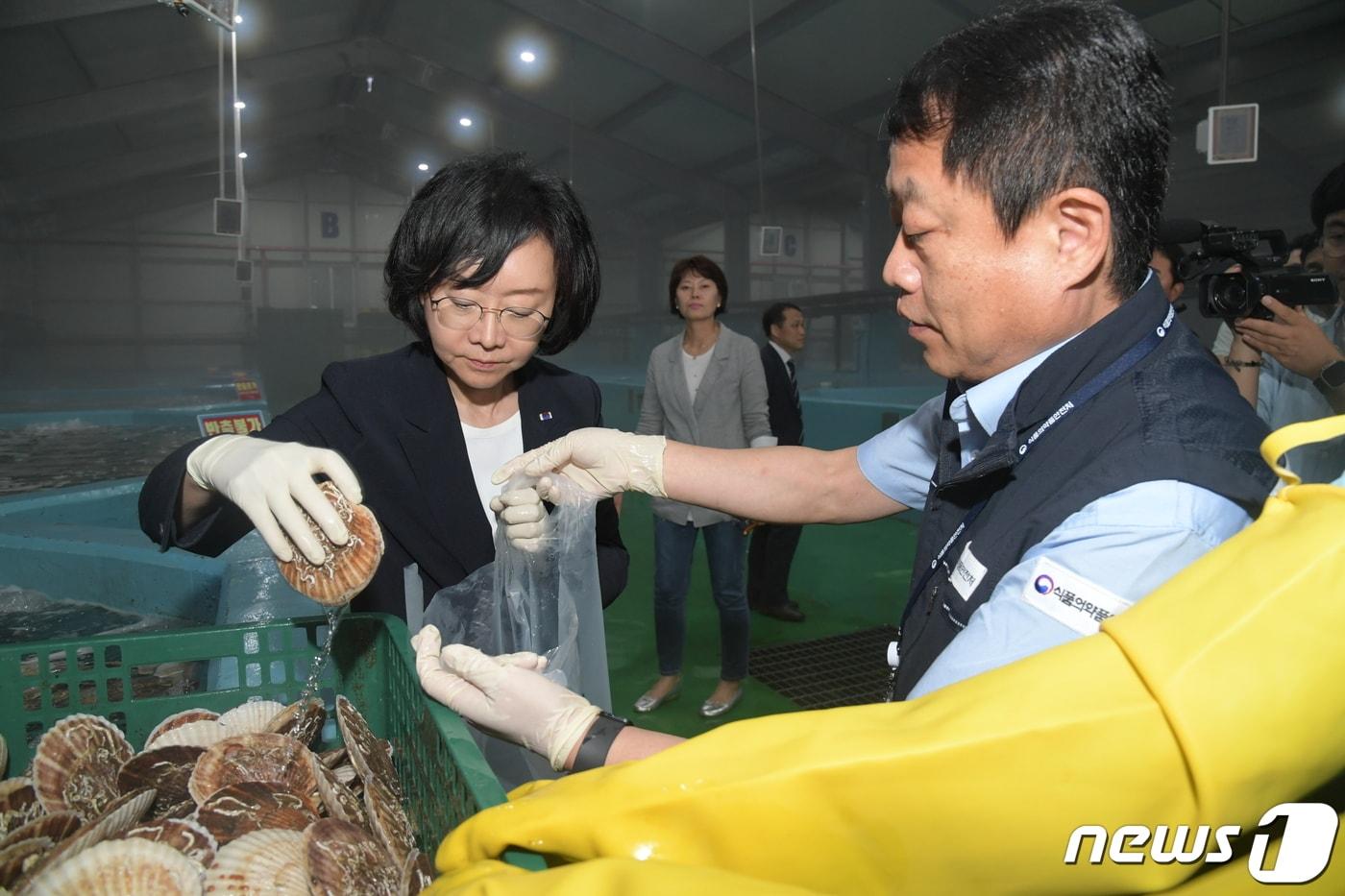 오유경 식품의약품안전처장이 30일 수입 수산물 안전관리 실태 점검을 위해 강원도 속초의 글로벌 심층수 제2보세창고를 방문, 수산물 검체 채취를 하고 있다. &#40;식약처 제공&#41; 2023.6.30/뉴스1