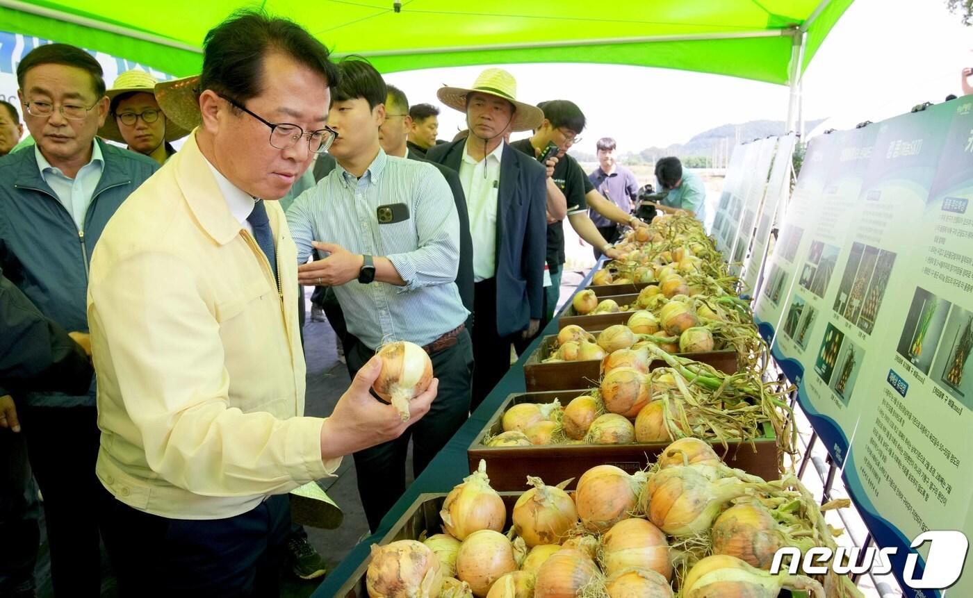 문금주 전라남도 행정부지사가 8일 무안군 몽탄면 다산리에서 개최된 ‘국산 양파 품종 평가 및 관련 기술 시연회’에서 국산 주요 품종에 대한 설명을 듣고 양파를 살펴보고 있다. &#40;전남도 제공&#41; 2023.6.8/뉴스1 ⓒ News1 전원 기자