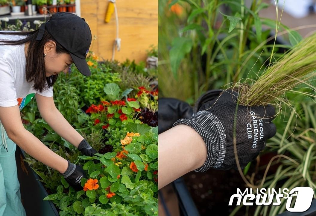 무신사가 6월 환경의 달을 기념해 사내 친환경 캠페인 &#39;비 그리너&#39;&#40;BE GREENER&#41; 일환으로 서울 도심 속의 작은 정원을 만들었다.&#40;무신사제공&#41;