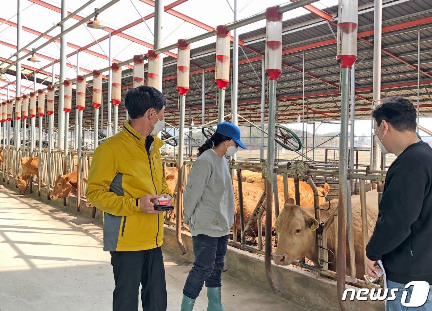 전북 임실군이 청년창업농의 조기 정착을 도울 수 있는 사업을 전개한다.&#40;임실군 제공&#41;2023.7.1/뉴스1