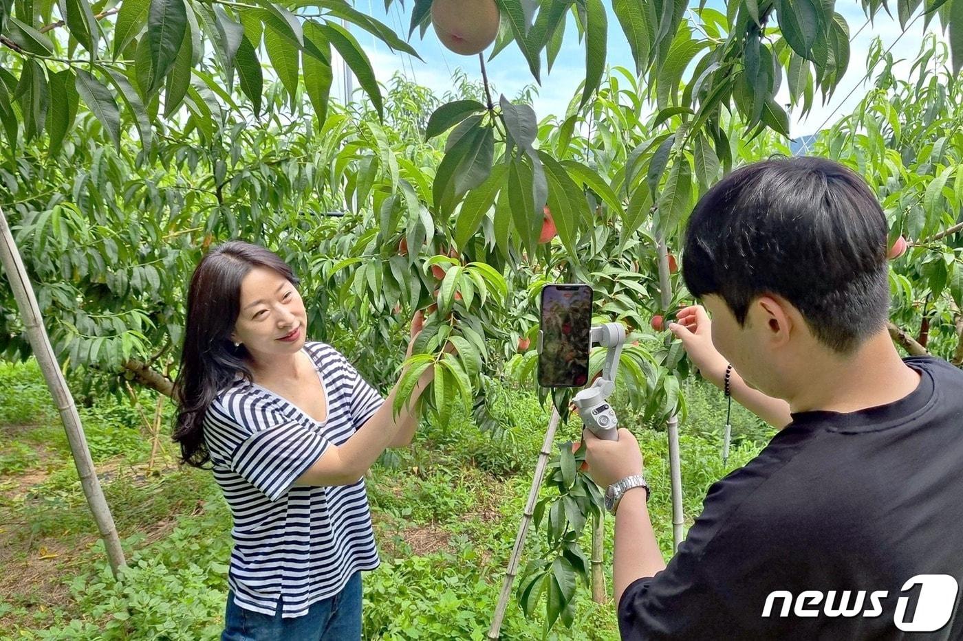 현장 모바일 생방송 &#39;가보까&#39;.&#40;롯데홈쇼핑 제공&#41;