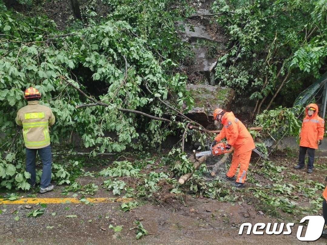 강원 인제군 인제읍 고사리 도로 낙석 발생 현장.&#40;강원도소방본부 제공&#41;