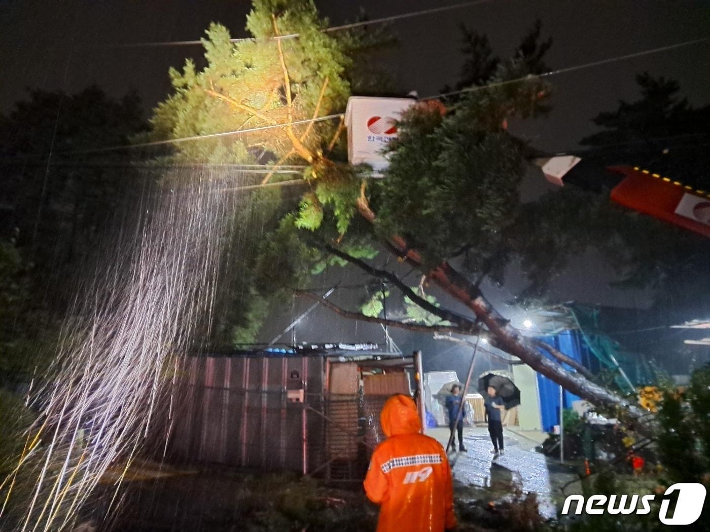 집중호우로 쓰러진 나무.&#40;경기도소방재난본부 제공&#41;