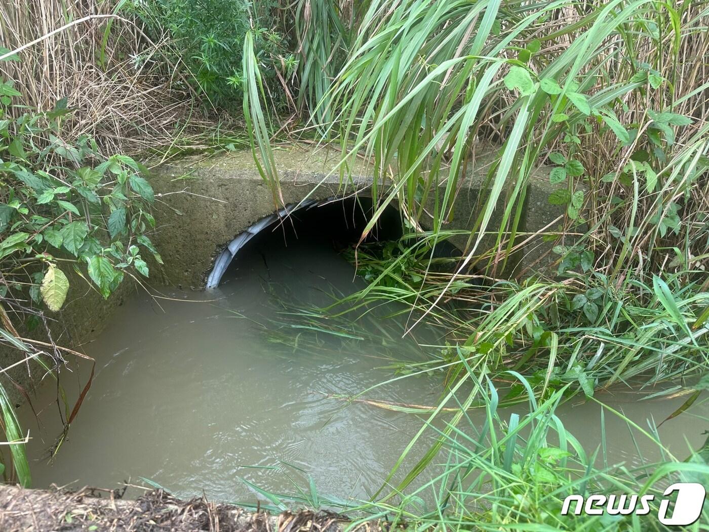 지난해 전남에서 사망사고가 발생한 농수로. / 뉴스1