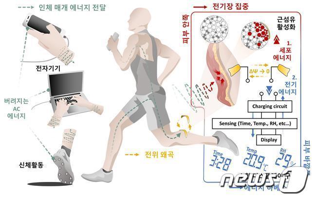 인체 매개 에너지 전달을 통한 세포·전기 에너지의 동기식 생성 개요.&#40;중앙대 제공&#41;/뉴스1