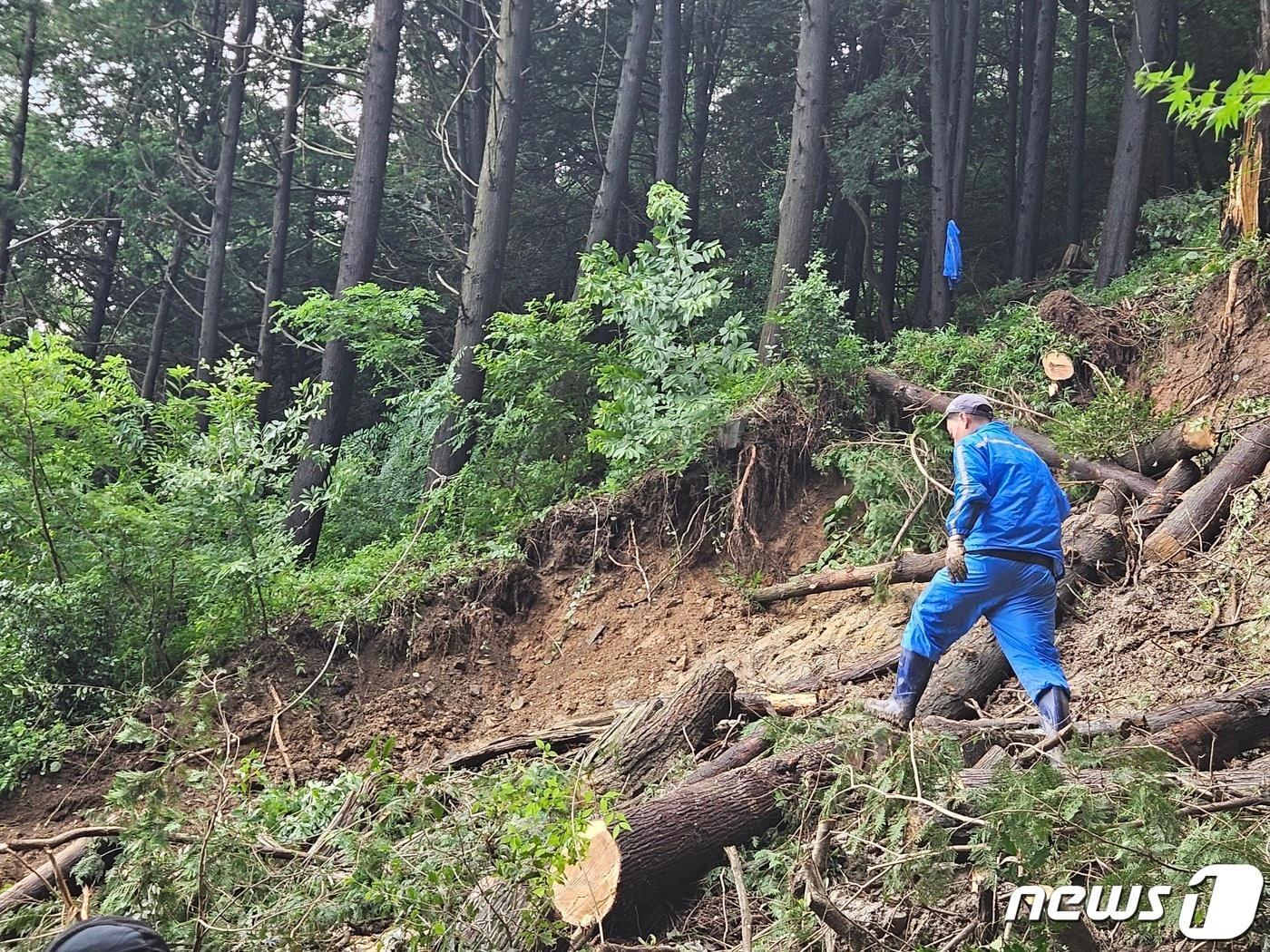 17일 오후 부산 서구 동대신동 북산경로당 위 숲또랑길 등산로에 사면 붕괴가 발생해 복구 작업을 하고 있다.2023.7.17/뉴스1 박상아 수습기자