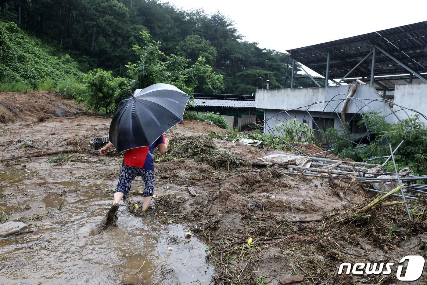 경북 예천군 용문면 사부2리에서 한 주민이 흘러내린 토사로 접근이 어려워진 집으로 향하고 있다./뉴스1 ⓒ News1 공정식 기자