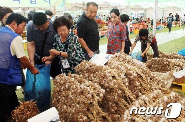 충북 단양군 마늘축제 모습. &#40;단양군 제공&#41; /뉴스1  