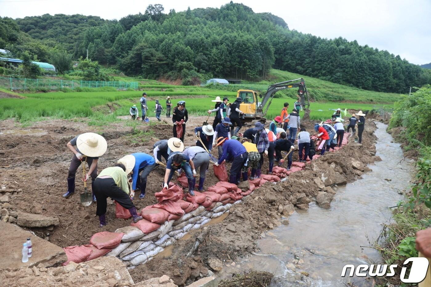 당진시의회 시의원과 사무국 직원들이 공주 이인면 하천제방 복구에 구슬땀을 흘리고 있다.&#40;당진시의회 제공&#41;/뉴스1