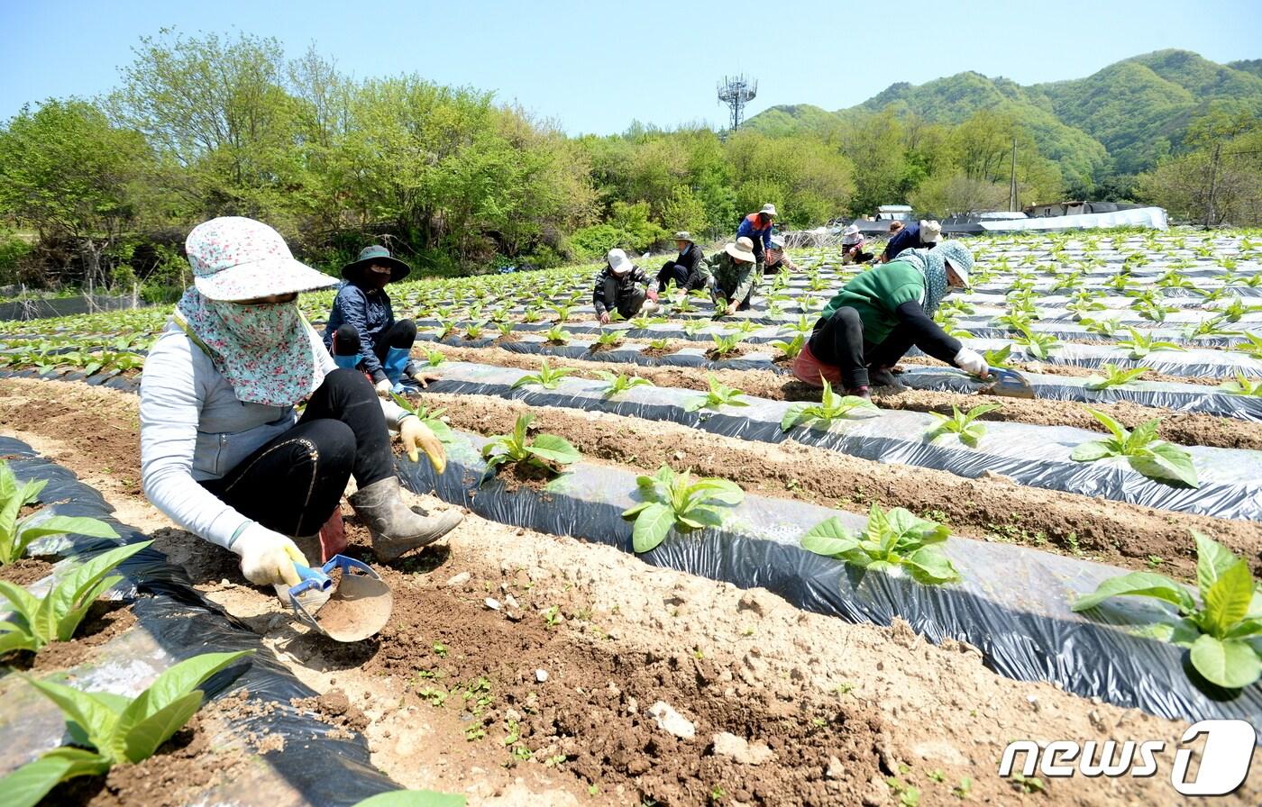 강원 화천 외국인 근로자.&#40;화천군 제공&#41;