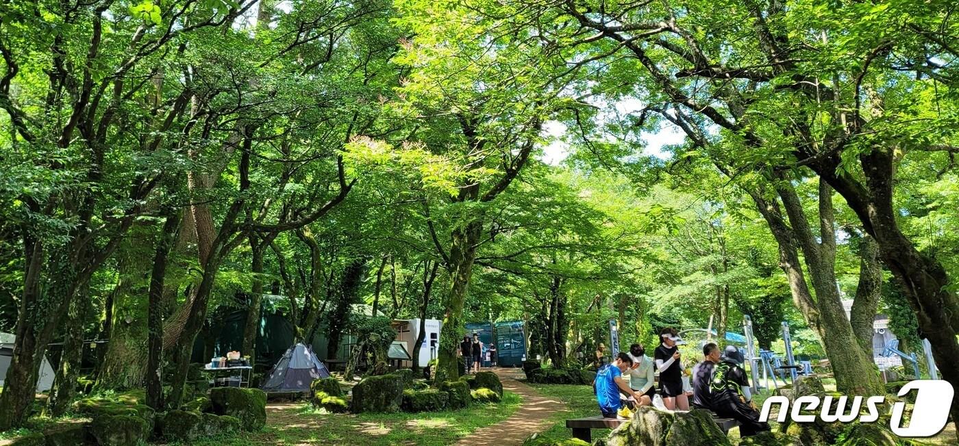 제주 한라산 관음사 야영장 인근의 나무 그늘 아래서 탐방객들이 휴식을 취하고 있다. 2023.7.30/뉴스1 ⓒ News1 강승남 기자