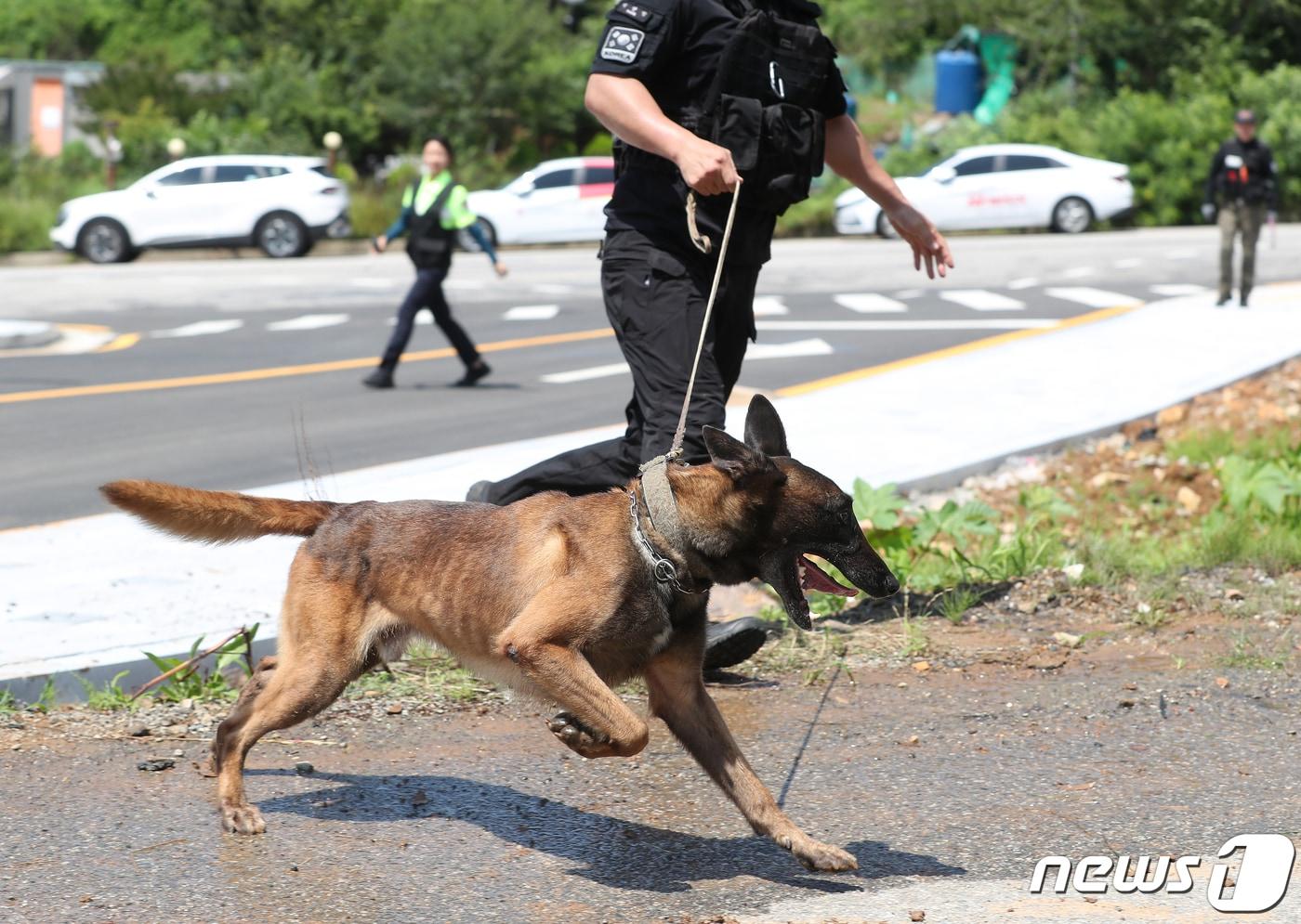 자료 사진.&#40;사진은 기사 내용과 상관 없음&#41; /뉴스1 ⓒ News1 윤일지 기자