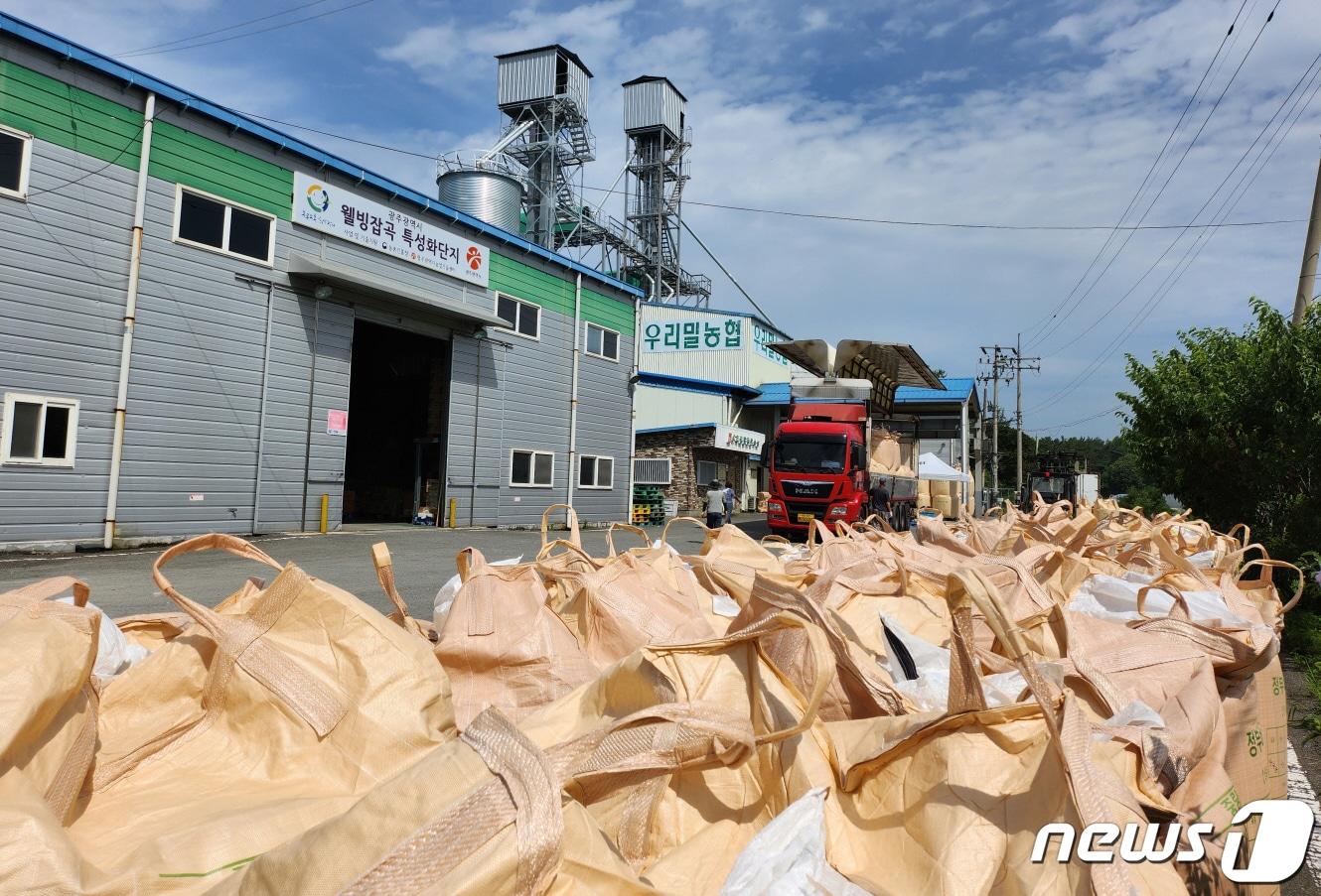 광주시가 공공비축용 국산밀을 수매하고 있다. 사진은 기사 내용과 관련 없음. ⓒ News1 박준배 기자