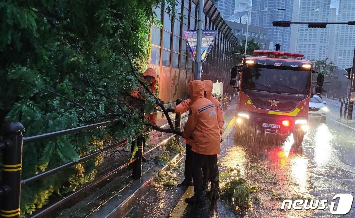 태풍 카눈&#39;의 남해안 상륙이 예정된 10일 오전 5시37분께 부산 해운대구 우동 한 도로에 나무가 쓰러져 소방대원들이 치우고 있다. &#40;부산소방재난본부 제공&#41; ⓒ News1 노경민 기자