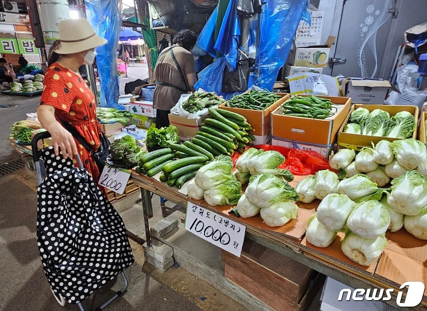 12일 광주 대표 전통시장인 서구 양동시장에서 고랭지 배추가 세개 만원에 판매되고 있다. 농림축산식품부에 따르면 집중호우와 폭염으로 고랭지 배추 값은 평균 2배 이상 급증했다. 2023.8.12/뉴스1 ⓒ News1 서충섭 기자