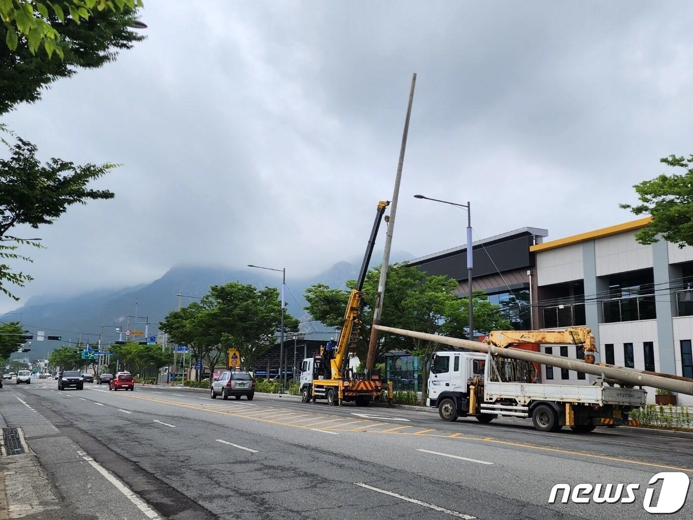  지중화사업으로 철거되는 전신주. &#40;사진은 기사와 관련 없음&#41;ⓒ News1 DB