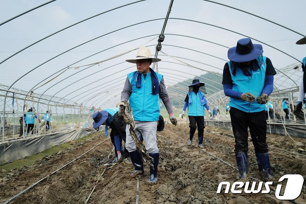 윤석대 사장을 포함한 임직원 100여명이 특별재난지역으로 선포된 청양군을 찾아 피해복구 지원 활동을 하고 있다.  &#40;한국수자원공사 제공&#41; /뉴스1