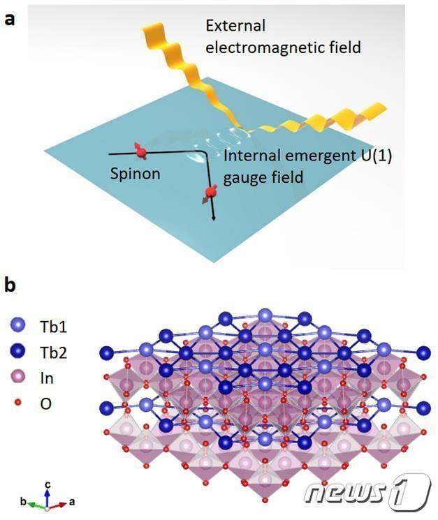 스피논 준입자와 외부 전자기파의 상호작용 모식도&#40;a&#41;와 TbInO₃물질의 삼각 격자 구조&#40;b&#41;. &#40;원자력연 제공&#41;/뉴스1