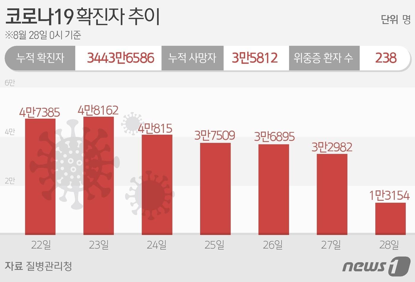 22~28일 전국 코로나19 확진자 발생 추이. ⓒ News1 김초희 디자이너