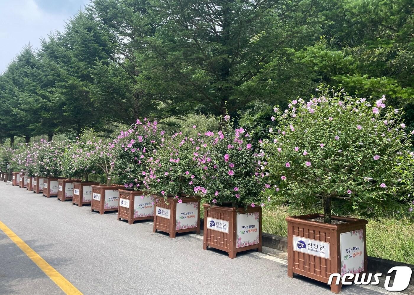 김유신길 무궁화 가로수.&#40;진천군 제공&#41;/뉴스1