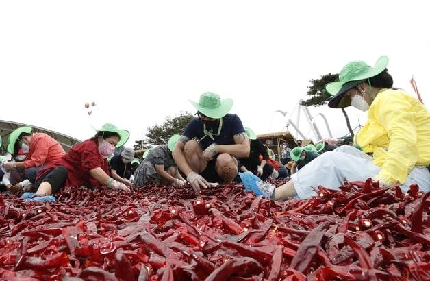 괴산고추축제.&#40;자료사진&#41;/뉴스1