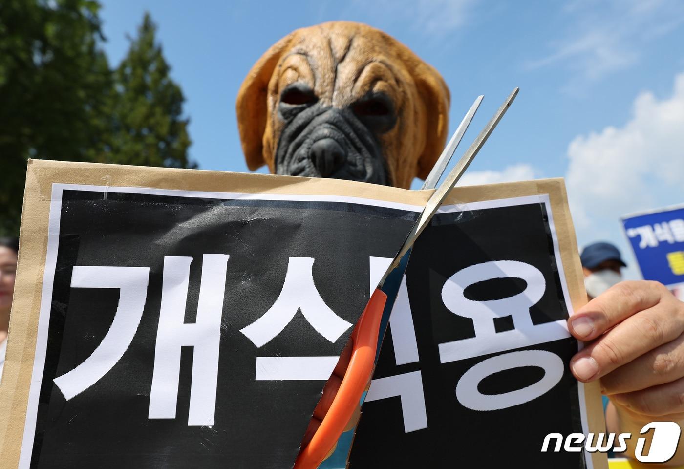 한국동물보호연합이 31일 서울 여의도 국회 앞에서 열린 개식용 금지법의 국회 연내 통과를 촉구하는 기자회견에서 개식용 반대 퍼포먼스를 하고 있다. 2023.8.31/뉴스1 ⓒ News1 박지혜 기자