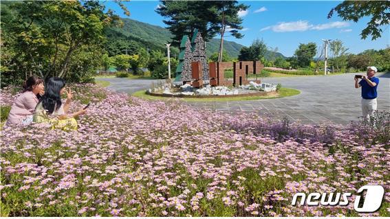 국립백두대간수목원에 핀 구절초. &#40;한국수목원정원관리원 제공&#41;/뉴스1