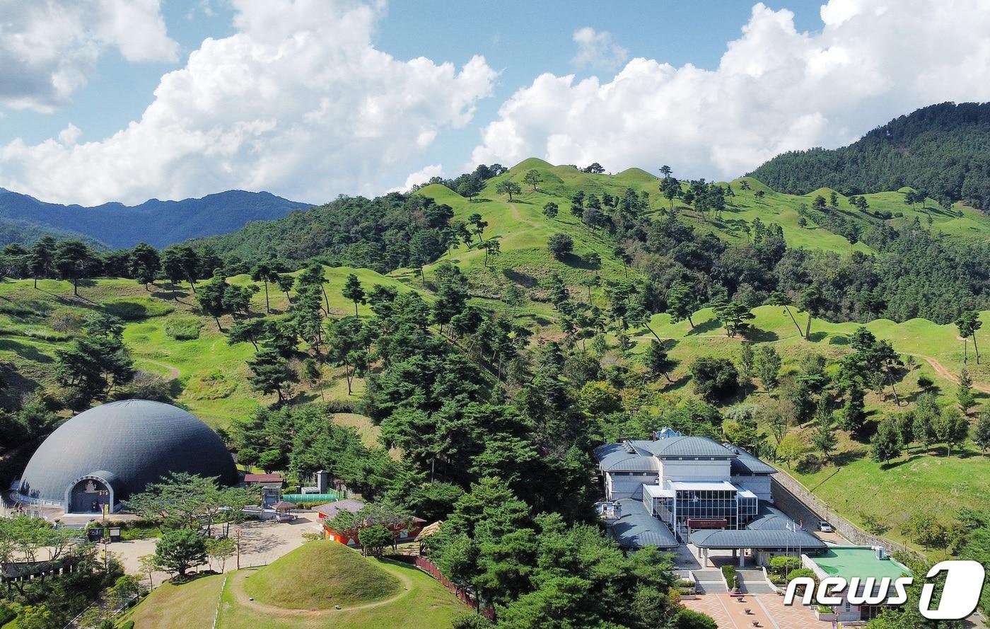 경북 고령 지산동 고분군 전경. /뉴스1 ⓒ News1 공정식 기자