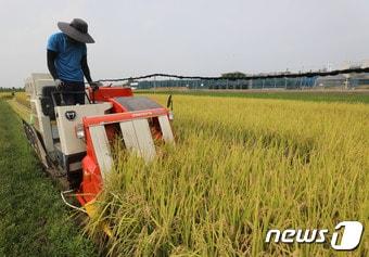 &#40;사진은 기사 내용과 무관함&#41; / 뉴스1 ⓒ News1