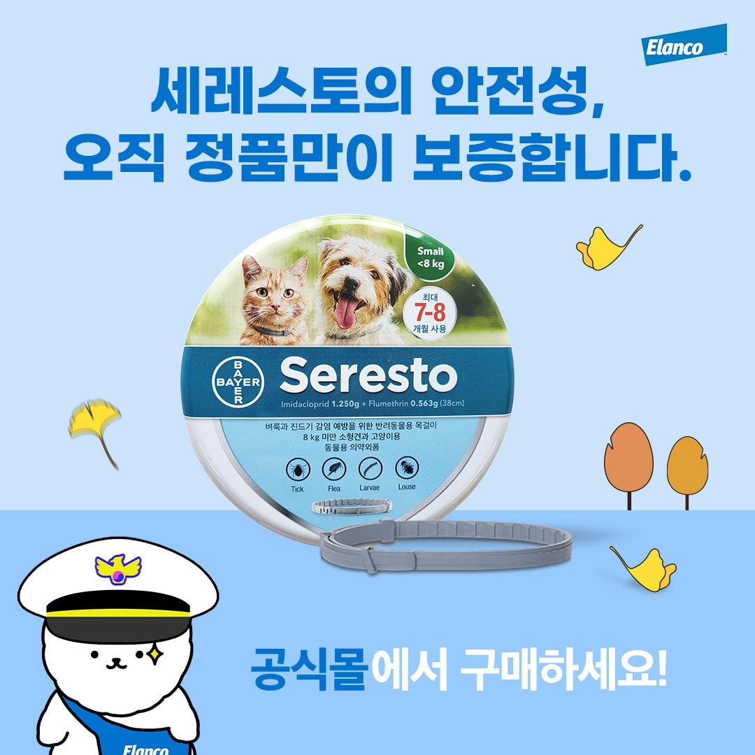 세레스토 정품 캠페인&#40;엘랑코 인스타그램&#41; ⓒ 뉴스1