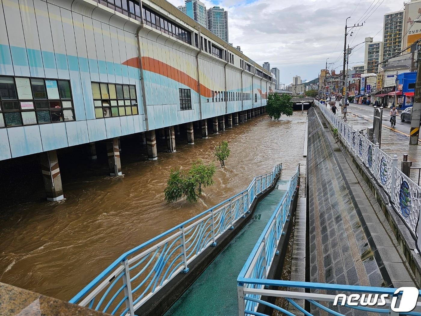 지난 16일 많은 비가 내려 불어난 부산 온천천. &#40;독자 제공&#41;