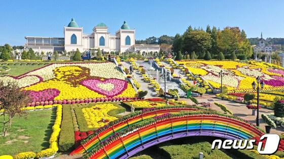 오는 10월6일 전북 임실군에서 개막하는 임실N치즈축제장이 국화꽃으로 단장됐다.&#40;임실군제공&#41;2023.9.25/뉴스1