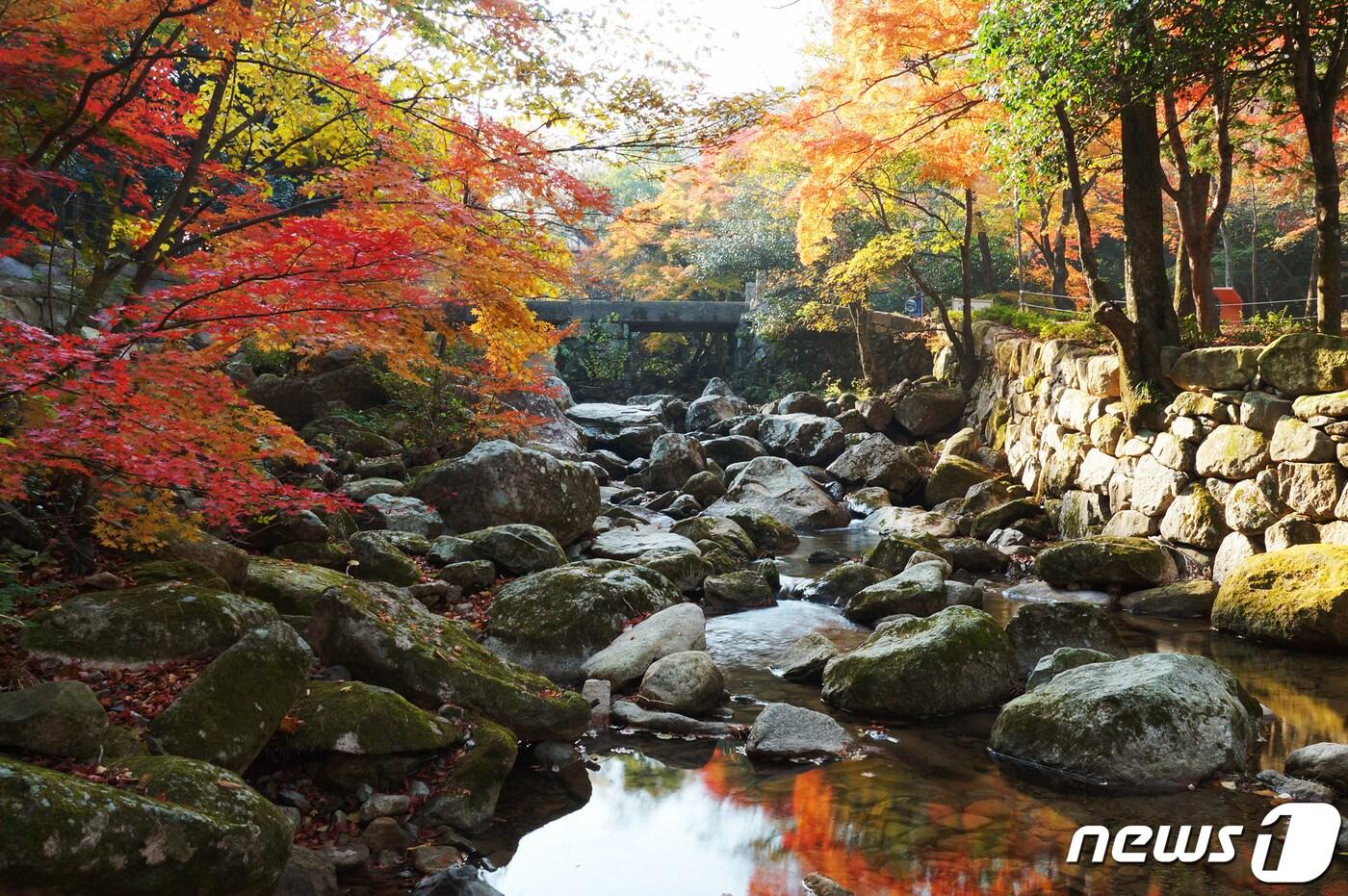 해남 대흥사 십리숲길 가을계곡 전경.&#40;전남도 제공&#41; 2023.9.26/뉴스1