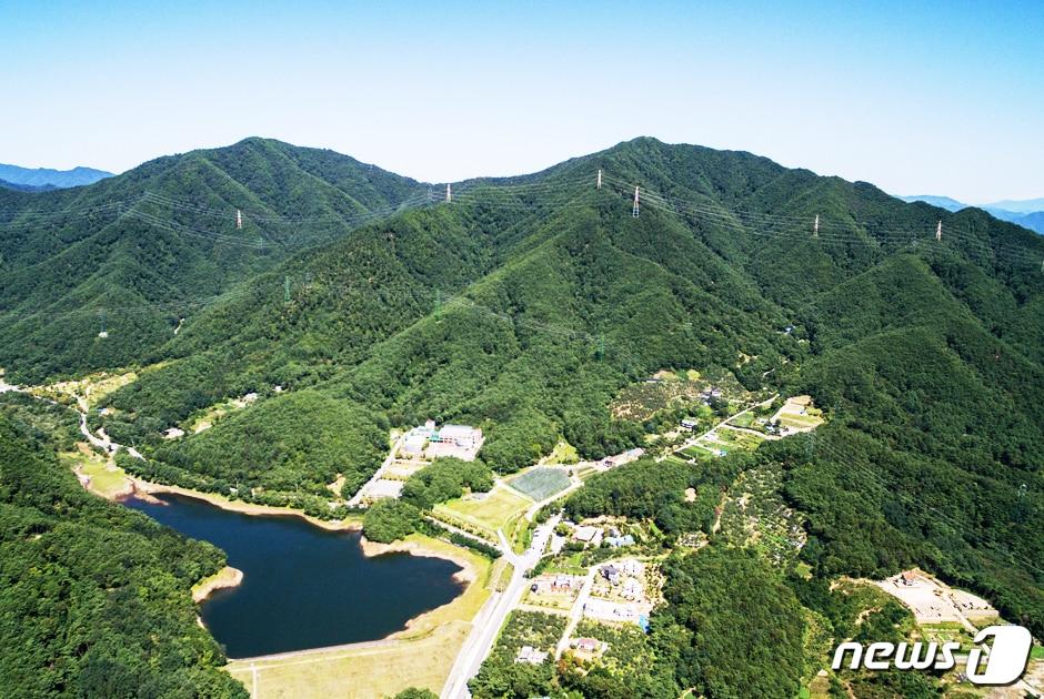 제천시내 의림지에 위치한 용두산 