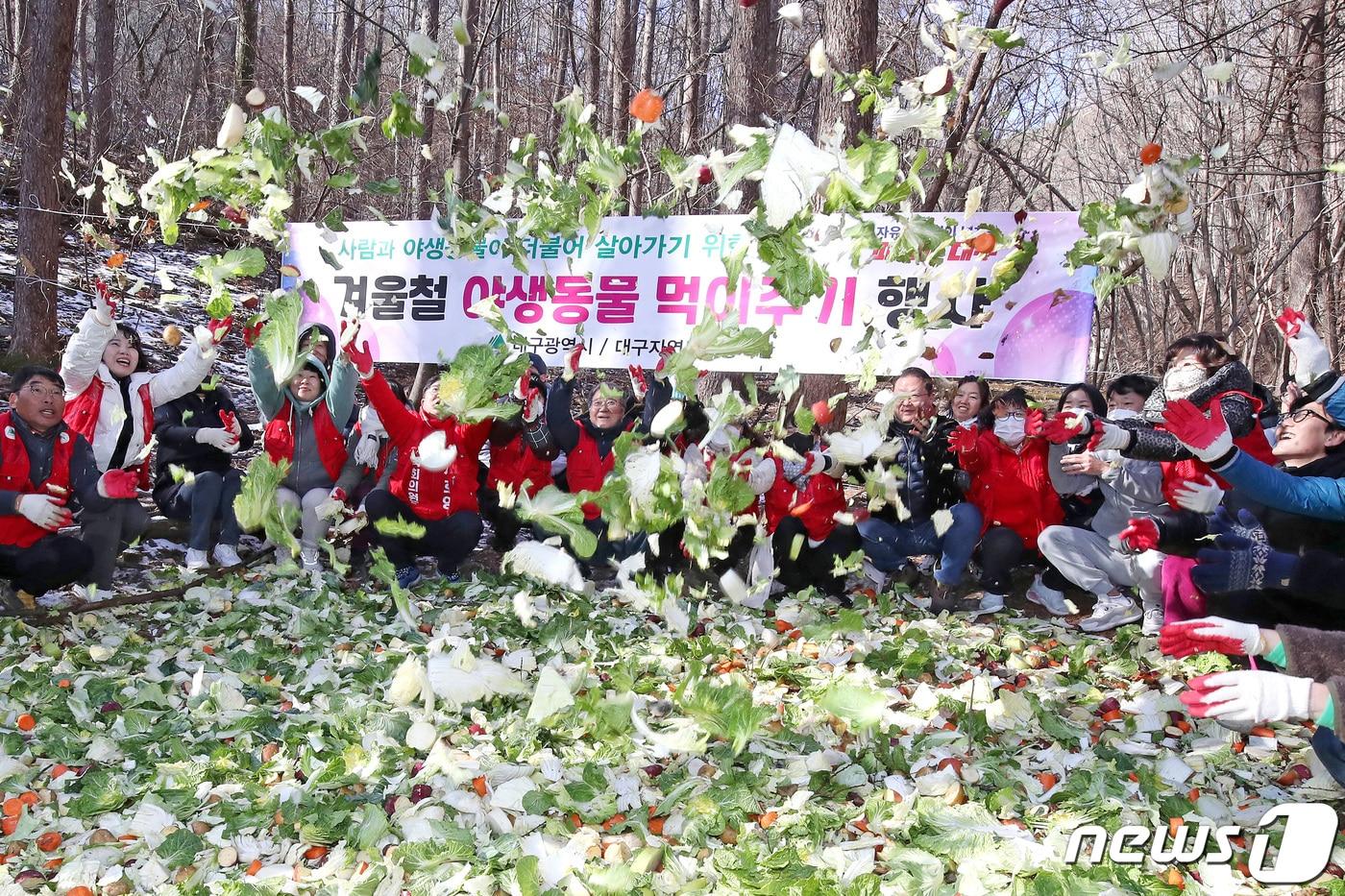 13일 오전 대구 동구 팔공산에서 열린 &#39;겨울철 야생동물 먹이주기&#39; 행사에 참여한 대구자연보호봉사단 회원과 시 공무원 등이 먹이 부족에 처한 야생동물을 위해 무, 감자, 배추, 고구마, 양배추 등 채소류를 먹기 좋게 잘라 골고루 뿌려주고 있다. 2024.1.13/뉴스1 ⓒ News1 공정식 기자