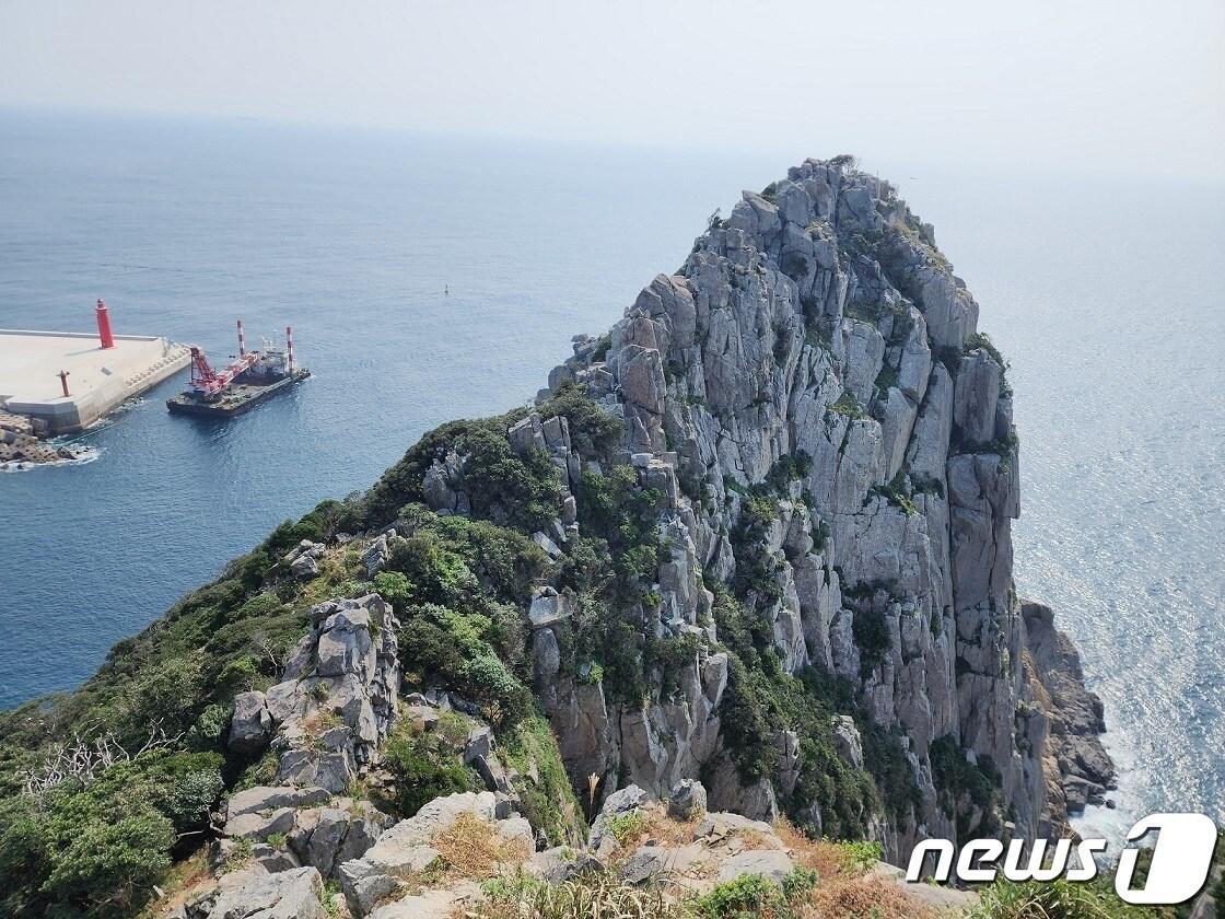 나한송 자생하는 가거도 회룡산 전경 &#40;신안군 제공&#41;/뉴스1 