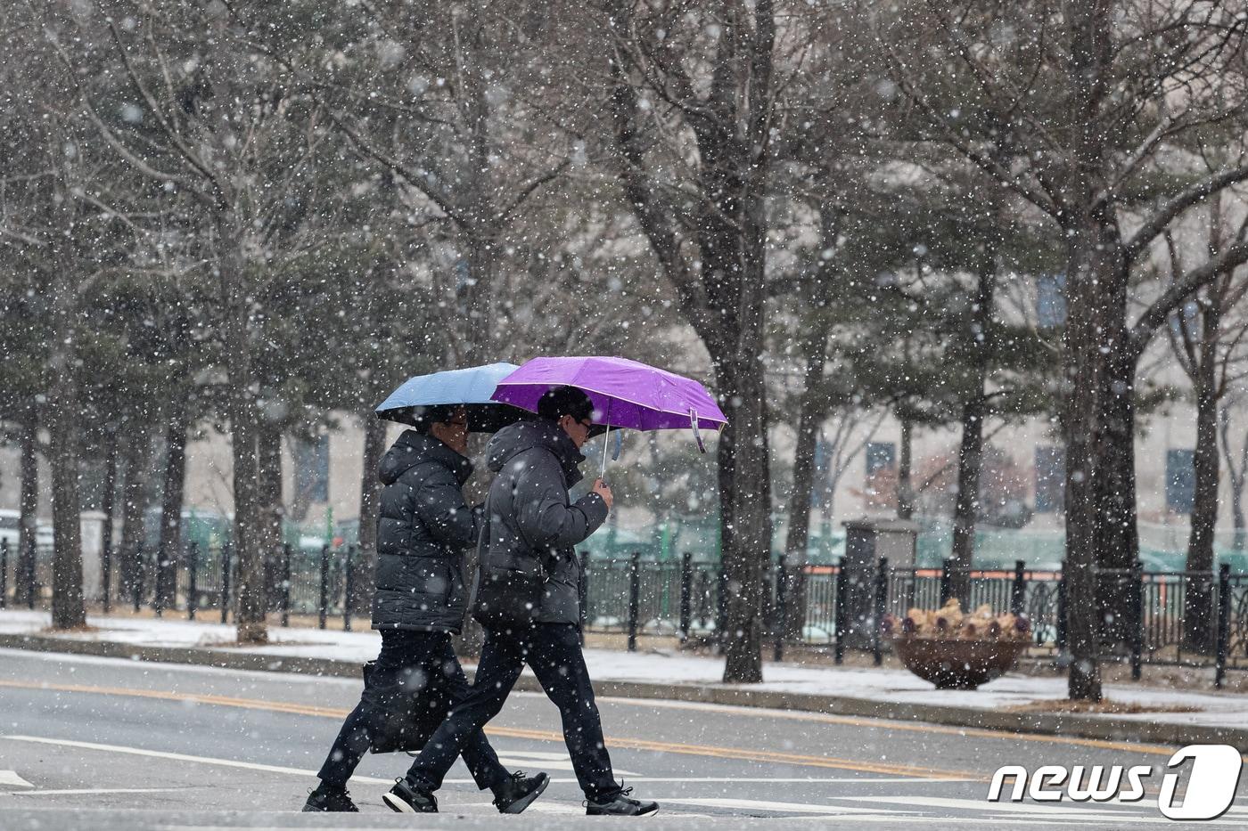 정부과천청사 인근에 눈이 내리고 있다. 2024.1.17/뉴스1 ⓒ News1 유승관 기자