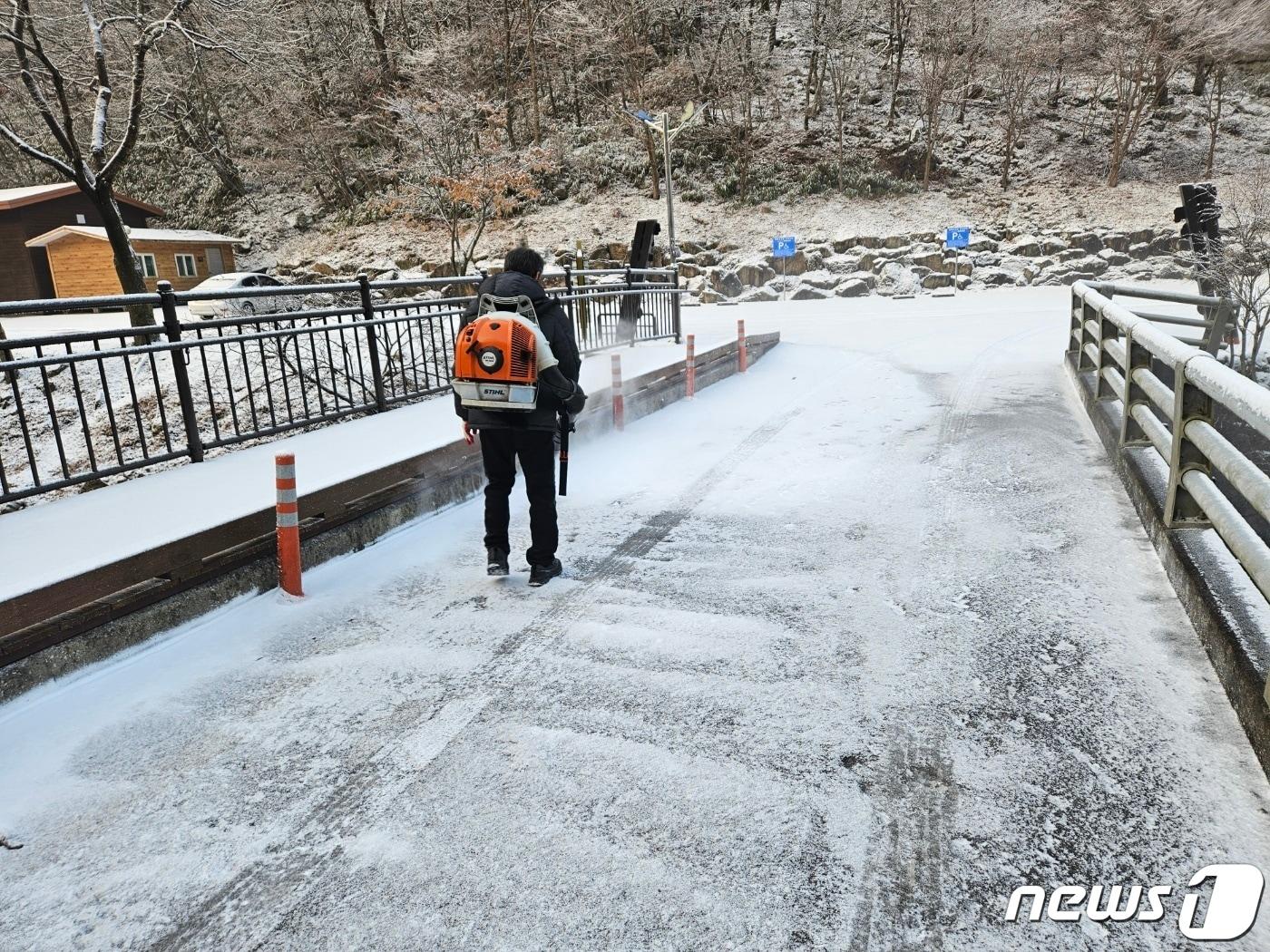  금산산림문화타운 내 제설 관리 모습.&#40;금산군 제공&#41;/ 뉴스1