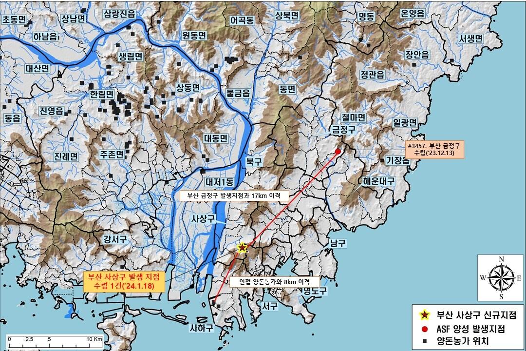 부산 사상구 야생멧돼지 아프리카돼지열병 발생지점 현황.&#40;환경부 제공&#41;