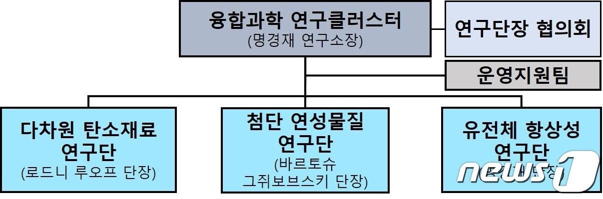 IBS UNIST 캠퍼스 연구클러스터 조직도.&#40;IBS 제공&#41;/뉴스1