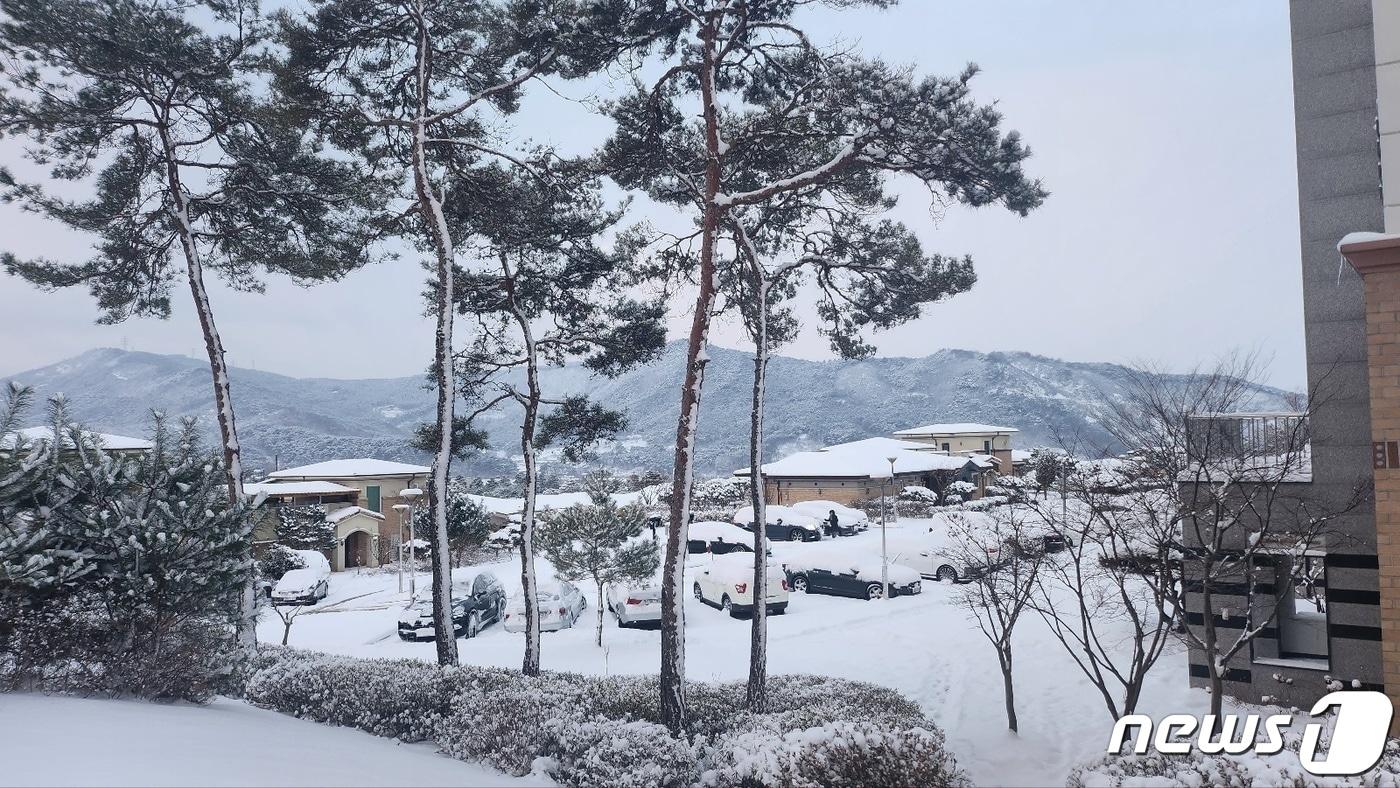 전북지역 곳곳에 대설주의보가 발효된 23일 전북 고창군 고창읍 석정리 한 아파트 일원에 하얀 눈이 쌓여 있다. 2024.1.23/뉴스1 ⓒ News1 박제철 기자