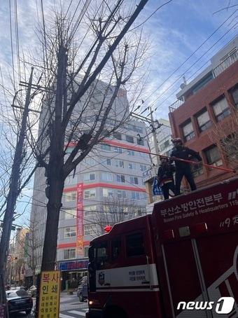 소방대원이 나무에 걸린 슬레이트 조각을 걷어내고 있다. &#40;부산소방재난본부 제공&#41;