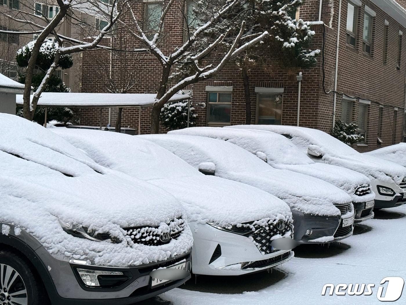 최대 13.5㎝의 눈이 내린 23일 오전 광주 서구의 한 아파트에 주차된 차량 위에 눈이 쌓여 있다. 2024.1.23/뉴스1 ⓒ News1 이승현 기자