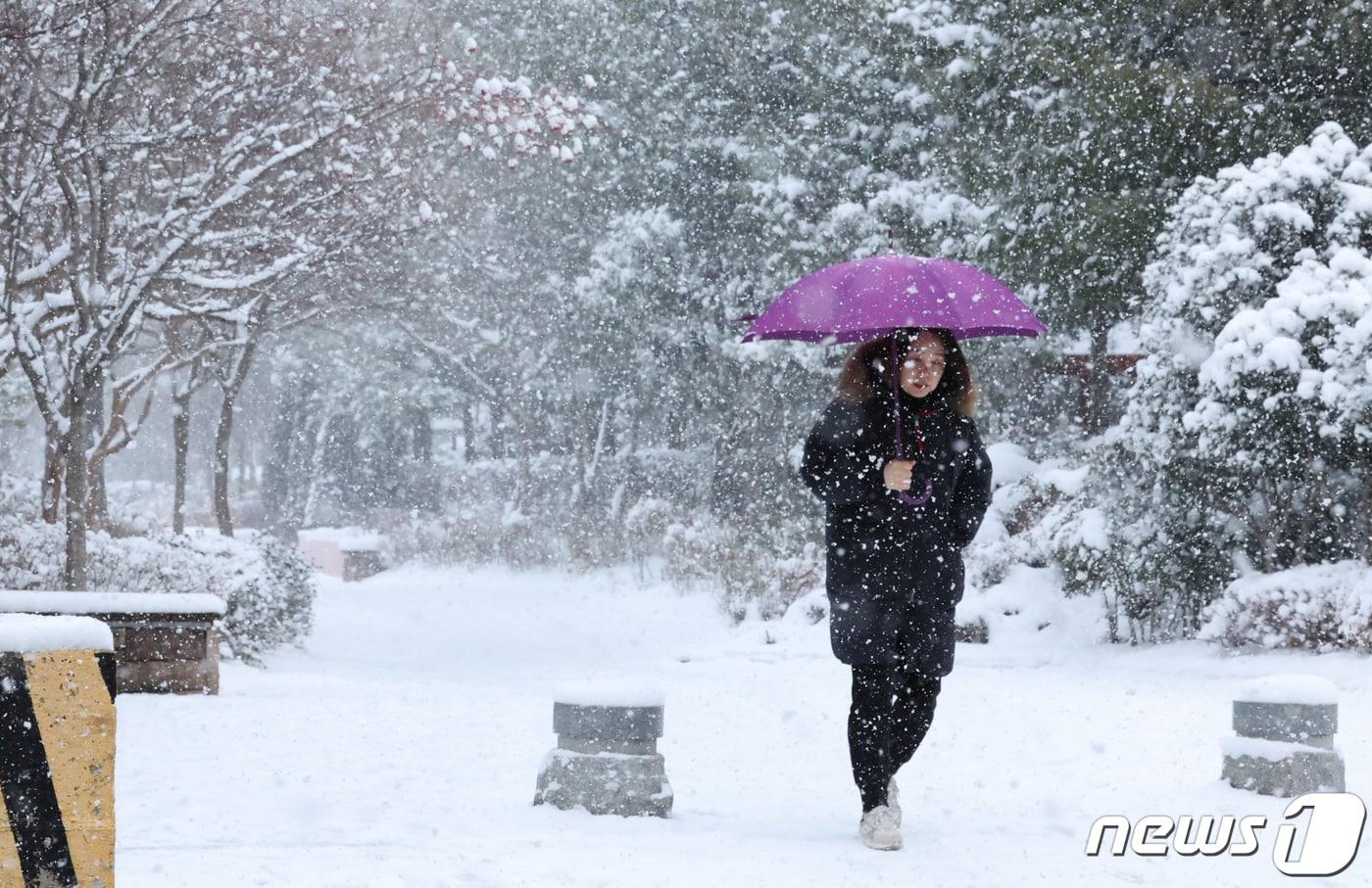 23일 광주와 전남에 대설경보가 발효돼 최대 13.5㎝의 눈이 내린가운데 광주 서구 상무동 거리에 시민이 눈길을 걷고 있다. 2024.1.23/뉴스1 ⓒ News1 김태성 기자