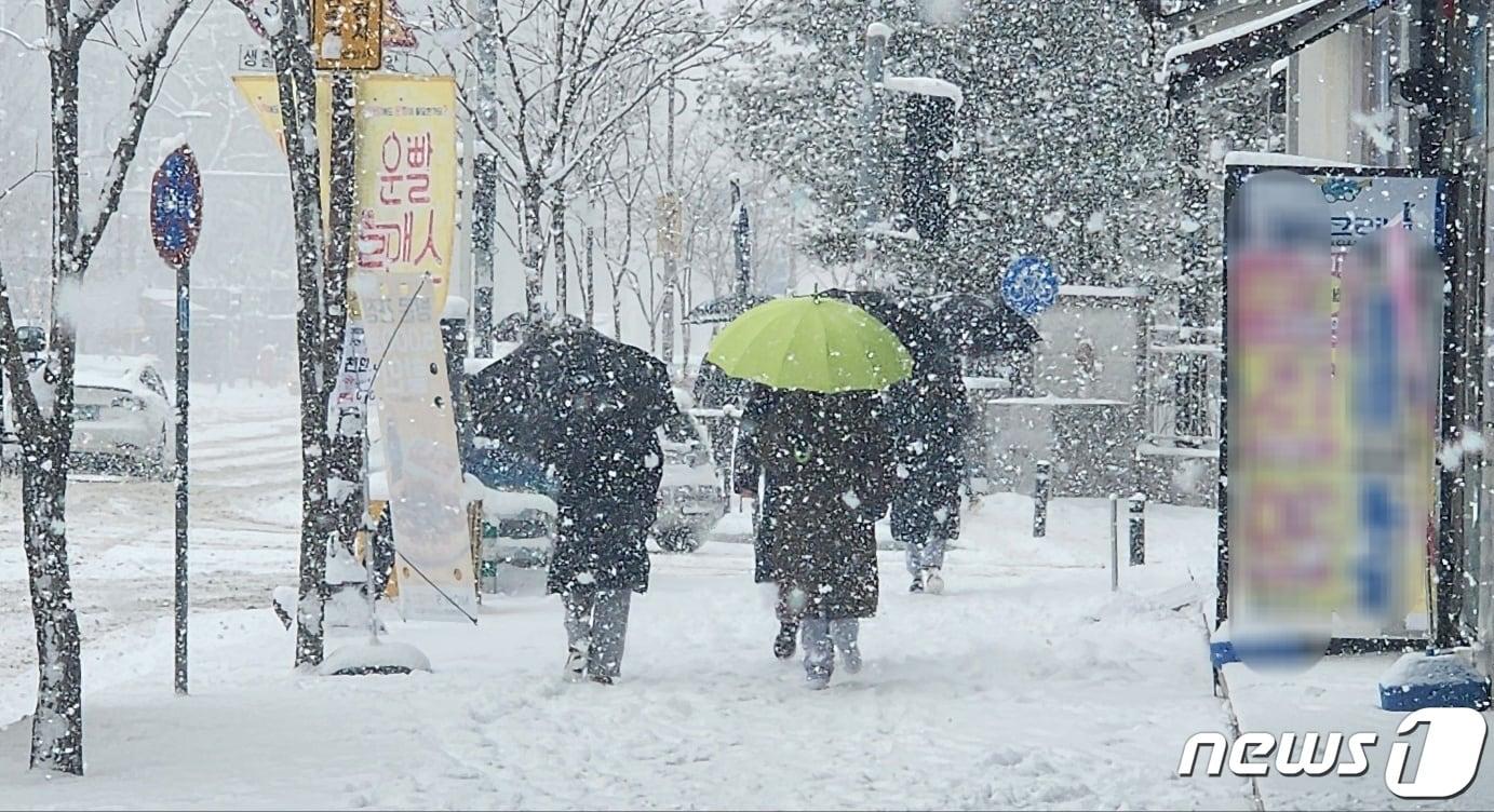 충남 천안에 지난 22일부터 이틀째 많은 눈이 내리고 있다. 2024.1.23. /뉴스1ⓒNews1 이시우 기자