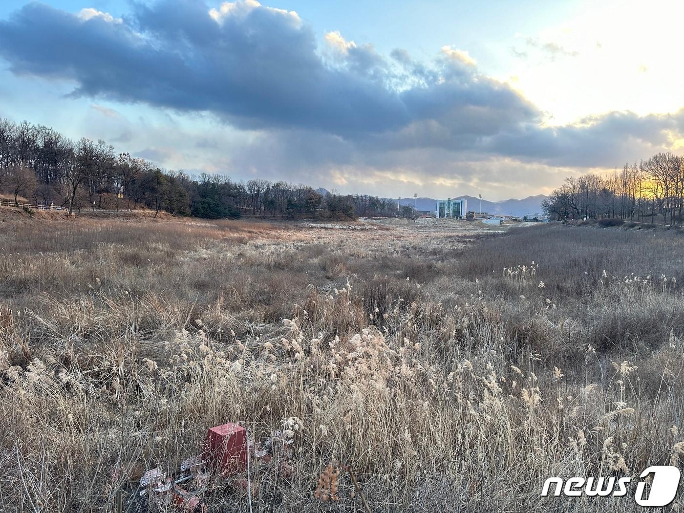  24일 한국농어촌공사가 충북 충주 호암지 제방 공사를 오는 12월 마무리할 것으로 알려지면서 3년째 물이 절반만 차 있던 호수에 수달이 다시 돌아올 지 관심이 높아지고 있다. 사진은 가물막이 공사로 인해 잡초가 자라난 호암지. 2024.1.24/뉴스1