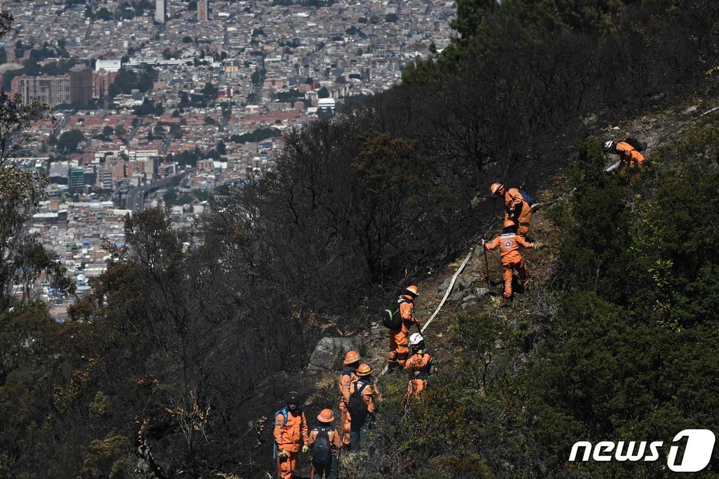 24일&#40;현지시각&#41; 엘니뇨 현상에 따른 이상 고온으로 산불이 발생한 콜롬비아 보고타에서 소방대원들이 진화 작업을 하고 있다. 2024.01.25 ⓒ AFP=뉴스1 ⓒ News1 우동명 기자