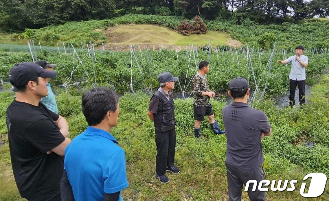 2023년 농업기술 시범사업 평가 모습. /뉴스1