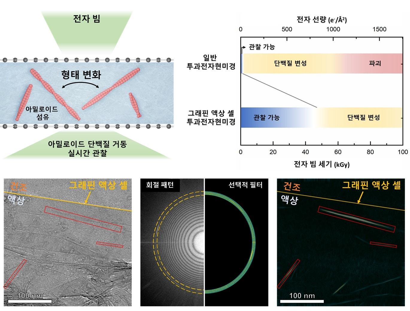 단분자 그래핀 액상 셀 전자현미경 모식도 및 성능.&#40;KAIST 제공&#41;/뉴스1