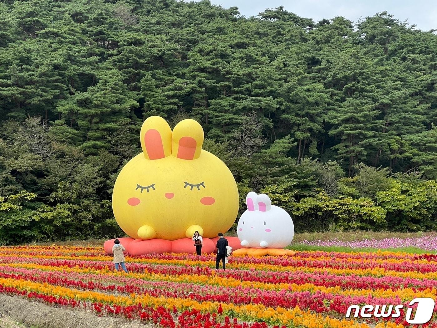 전북 고창군이 고창읍성 뒤편 약 8만㎡의 부지를 사계절 꽃정원 단지로 조성한다. 지난해 조성해 큰 호응을 얻은 노동골 꽃정원&#40;고창군 제공&#41;2024.1.31/뉴스1 